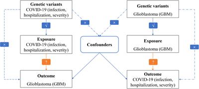 COVID−19 hospitalization increases the risk of developing glioblastoma: a bidirectional Mendelian-randomization study